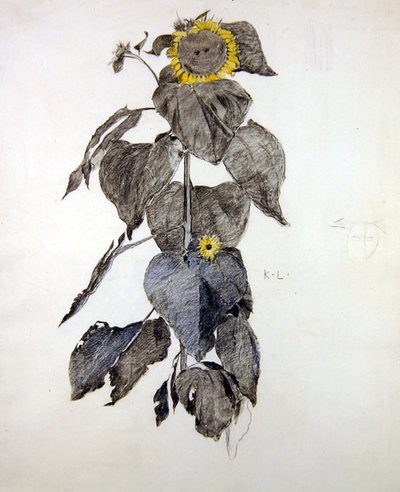 Girasoli da James Kerr Lawson