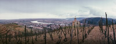 Un vigneto domina la città e il fiume Rodano. SOCIETE PAUL JABOULET AINE VINO... da James L Stanfield