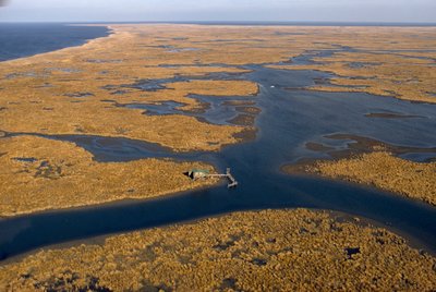 Una casa su palafitte di un pescatore di ostriche sopra una vasta distesa di erba palustre. Aerea, Mississippi... da James L Stanfield