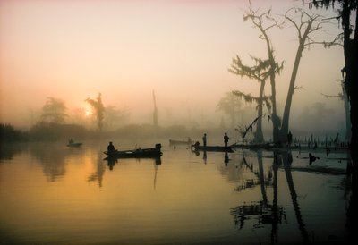 Il sole di ottobre dissolve la nebbia mattutina su Alligator Bayou nel delta della Louisiana... da James L Stanfield