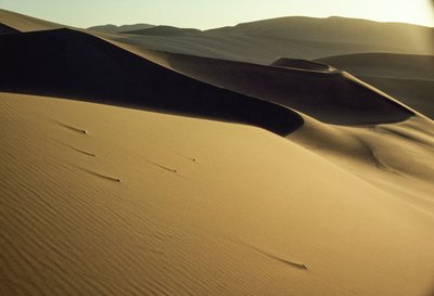 Vista delle dune tagliate nettamente in ombra vicino a Dunhuang. Provincia di Gansu, Repubblica Popolare Cinese. da James L Stanfield