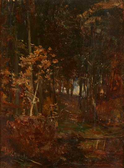 Un sentiero boscoso da James Lawton Wingate