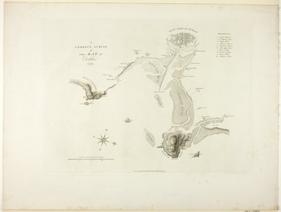 Un Rilievo Corretto della Baia di Dublino da James Malton