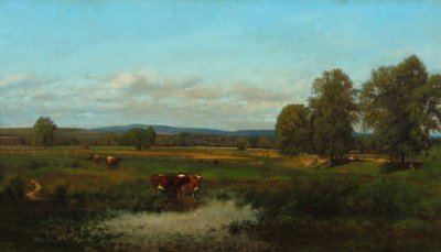 Mucche nel Pascolo da James McDougal Hart