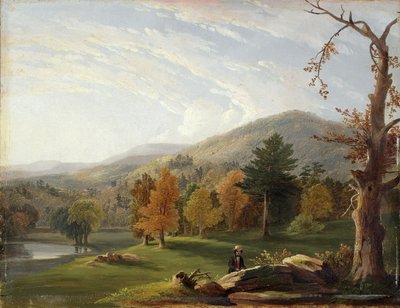 Veduta tra gli Helderbergs, Catskills in lontananza, 1850 da James McDougal Hart