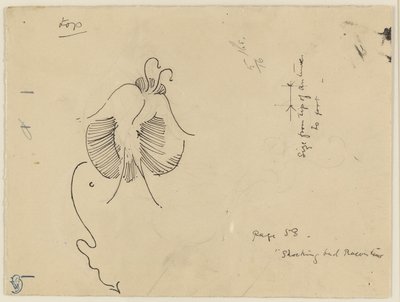 Farfalla (recto); frammento di farfalla (verso) da James McNeill Whistler