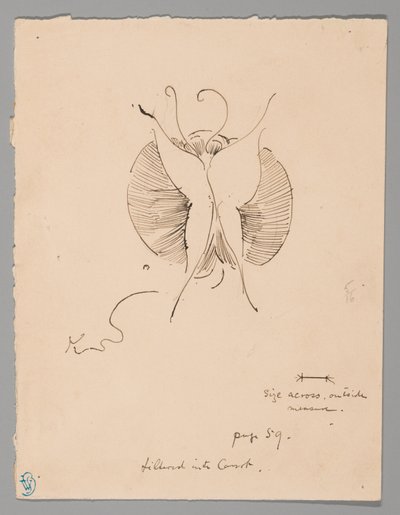 Farfalla (recto); frammento di farfalla (verso) da James McNeill Whistler