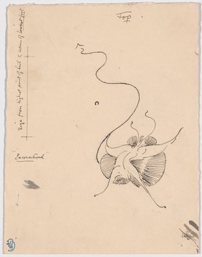 Farfalla "Incontrata" (recto); schizzo per la coda (verso) da James McNeill Whistler