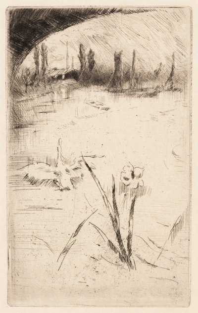 Schizzo dopo il "Cigno e Iris" di Cecil Lawson da James McNeill Whistler