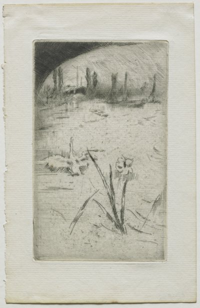 Cigno e iris da James McNeill Whistler