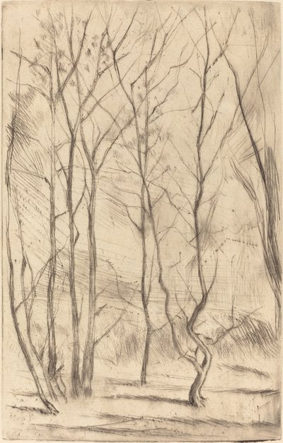 Il bosco della diga da James Abbott McNeill Whistler