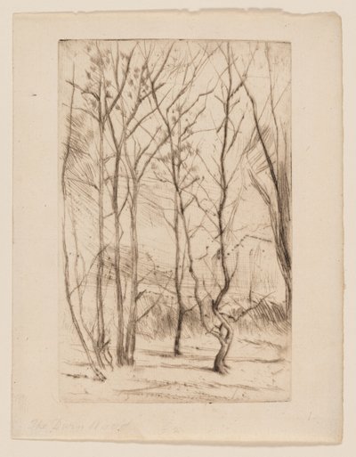 Il Bosco della Diga da James Abbott McNeill Whistler