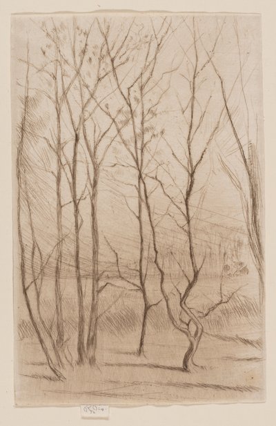 Il bosco della diga da James Abbott McNeill Whistler