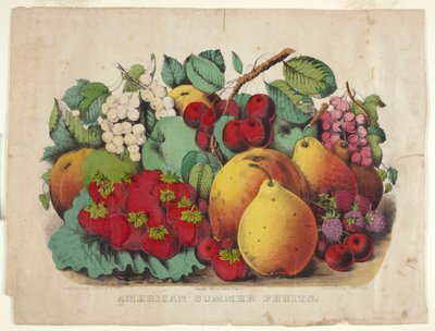 Frutta Estiva Americana da James Merritt Ives