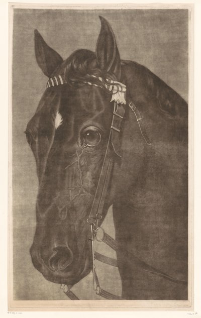 Testa di un cavallo con briglie da James Newman Hodges