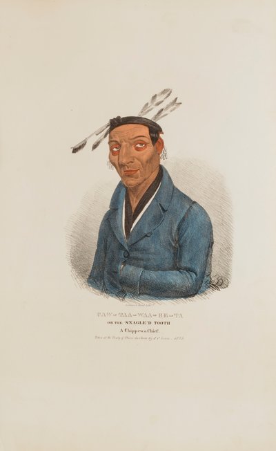 CAW-TAA-WAA-BE-TA o il Dente del Gufo; un capo Chippewa, da Il Portafoglio Aborigeno da James Otto Lewis