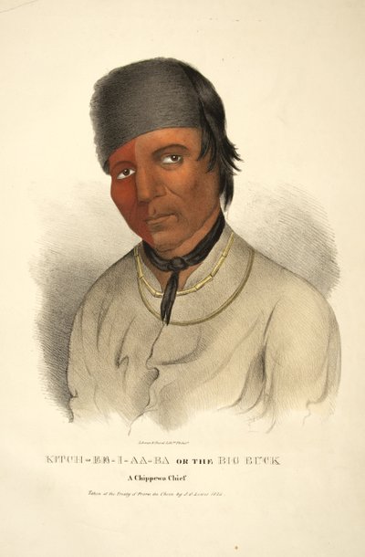 Kitch-ee-i-aa-ba o il Grande Cervo da James Otto Lewis