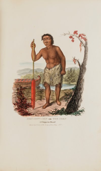 MEN-DOW-MIN o il Mais; un nano Chippewa, da Il portafoglio degli aborigeni da James Otto Lewis
