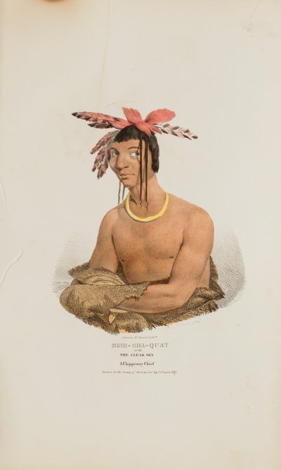 MISH-SHA-QUAT o il cielo limpido; un capo Chippeway, da Il portafoglio aborigeno da James Otto Lewis
