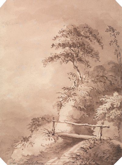 Ponte pedonale su un ruscello collinare da James Pattison Cockburn