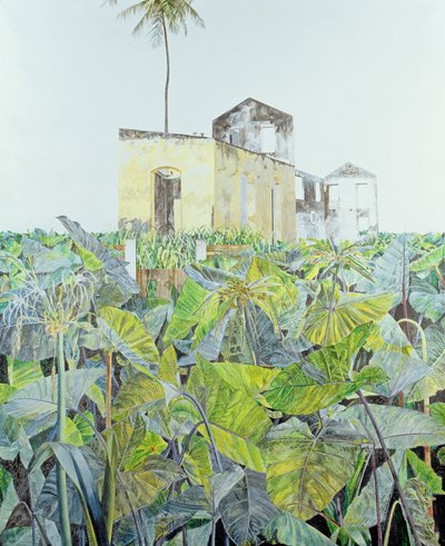 Rovina in una palude, Haiti, 1971 da James Reeve