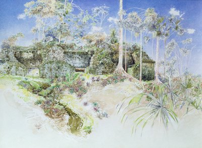 Tempio in Rovina, Tikal, Guatemala, 1984 da James Reeve