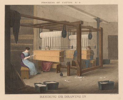 Progresso del cotone: #9 - Reeding o disegno da James Richard Barfoot