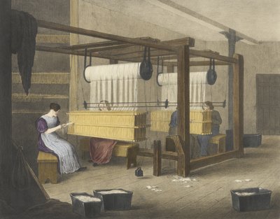 Infilatura, Progresso del Cotone No. 9, pub. 1840 da James Richard Barfoot