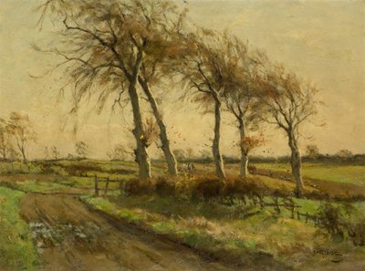 Una giornata aperta in inverno da James Riddel