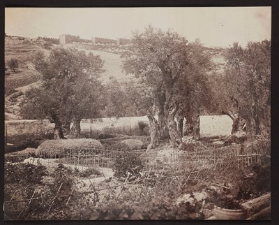 Getsemani [Gerusalemme. Monte degli Ulivi] da James Robertson