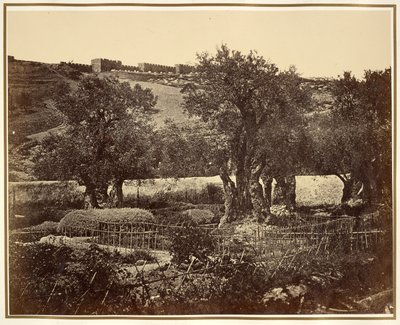 Il giardino del Getsemani da James Robertson