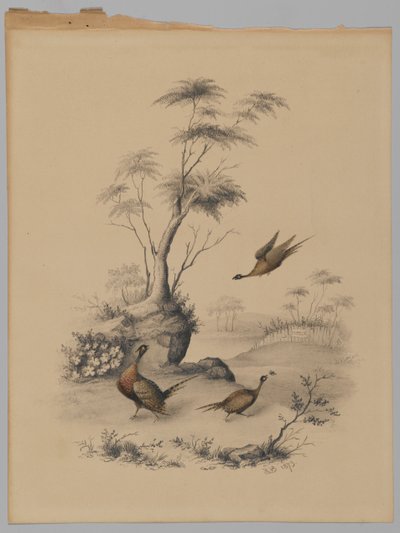 Tre fagiani, 1873 da James Ryder van Brunt
