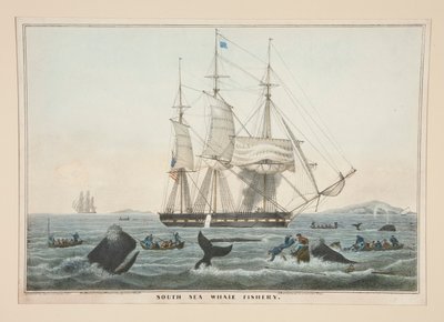 Pesca di balene nel Mare del Sud da James S. Baillie