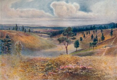 Vista da Beacon Hill, Hindhead, 1911, 1914 da James S Ogilvy