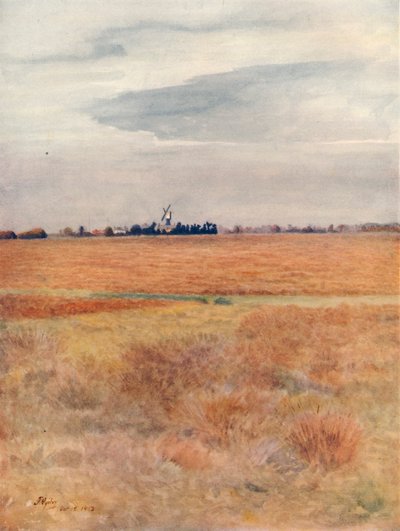 Wimbledon Common, 1912, 1914 da James S Ogilvy