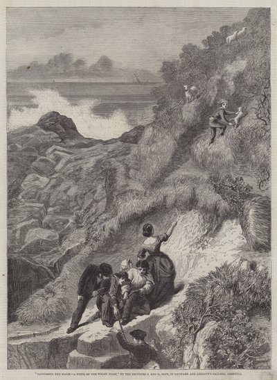 Raccolta dei greggi, una scena sulla costa gallese da James Sant