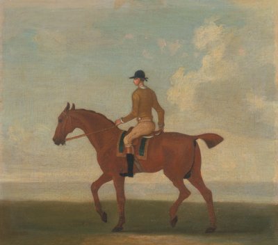 Uno dei quattro ritratti di cavalli - un cavallo da corsa castano con fantino: camminando verso sinistra; fantino in giacca giallo ocra da James Seymour