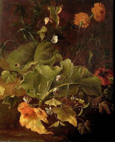 Foglie di Piantaggine e Altri Fiori, c.1820 da James Sillett