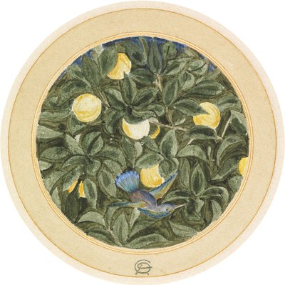 Il colibrì da James Smetham