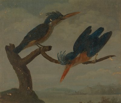 Due Martin Pescatori Accanto a un Lago da James Sowerby