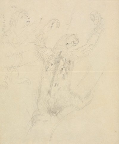 Due bradipi da James Sowerby