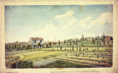 Giardino Botanico di William Curtis, Lambeth Marsh, Ante 1787 da James Sowerby