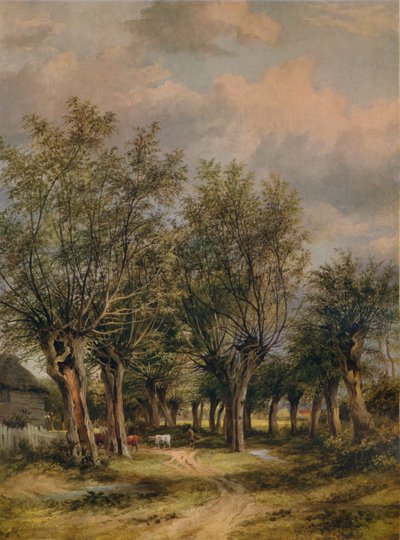 Un sentiero vicino a Norwich, c1837 da James Stark
