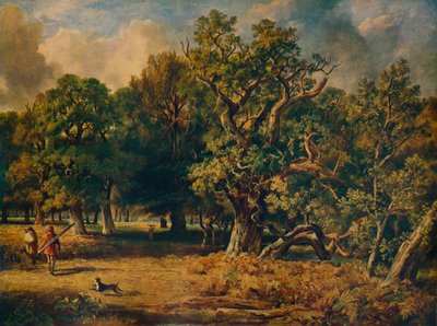 Foresta di Windsor da James Stark