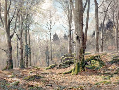Un bosco gallese da James Thomas Watts