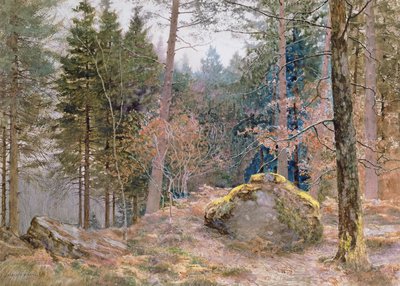 In un bosco gallese, inverno da James Thomas Watts