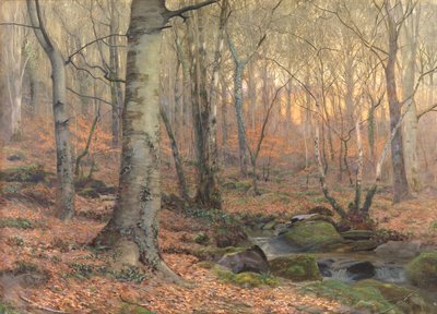 Russet e Gray: un bosco di faggi gallese da James Thomas Watts