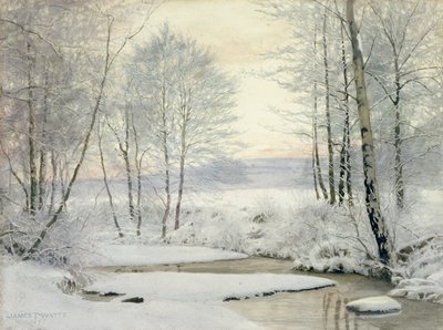 Tramonto invernale da James Thomas Watts
