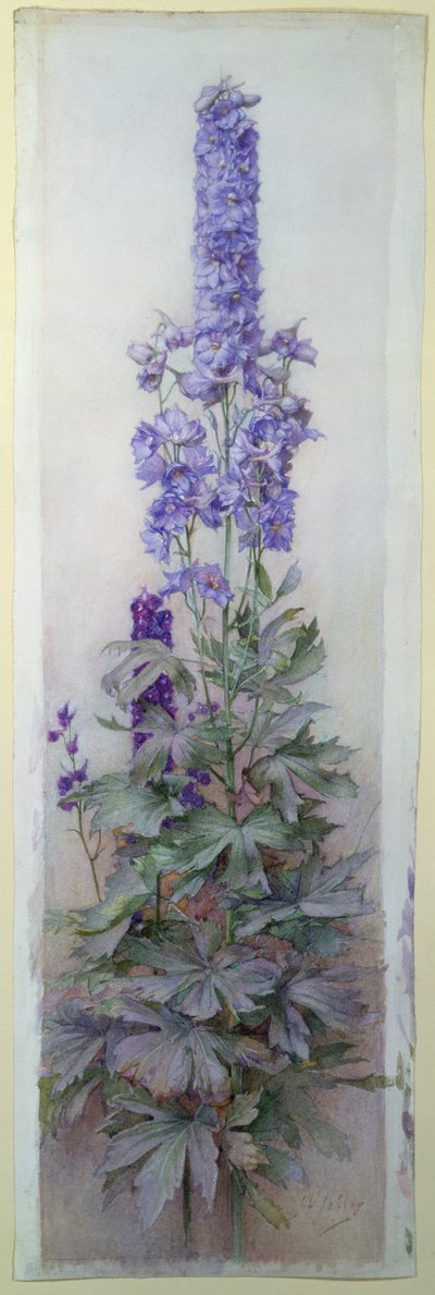 Delphinium da James Valentine Jelley