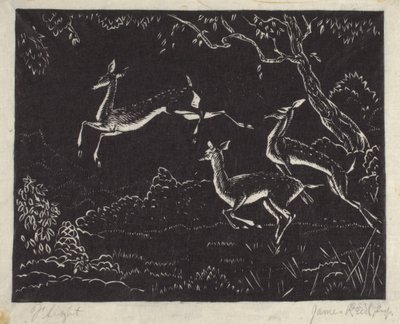 Volo da James W. Reid